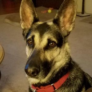 Meet your Posher, Jeff